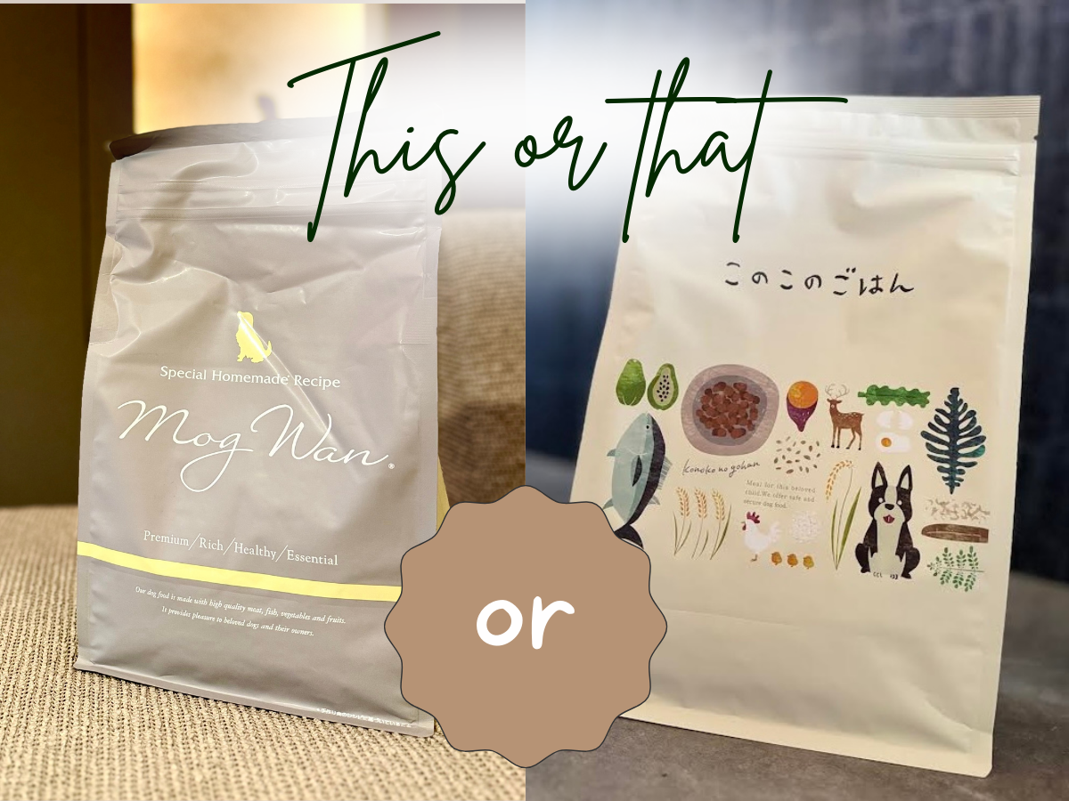 モグワンドックフードとこのこのごはん比較