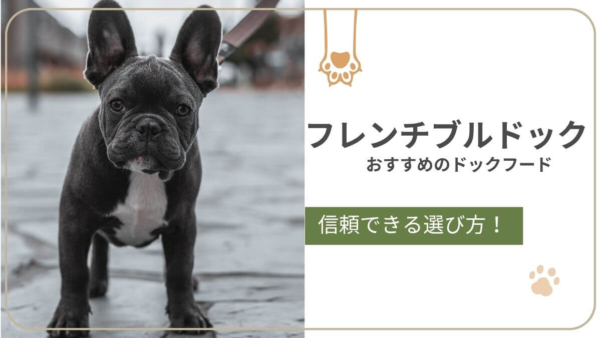 フレンチ・ブルドッグにおすすめのドッグフード。皮膚や胃腸の弱さに配慮したごはん選びを紹介