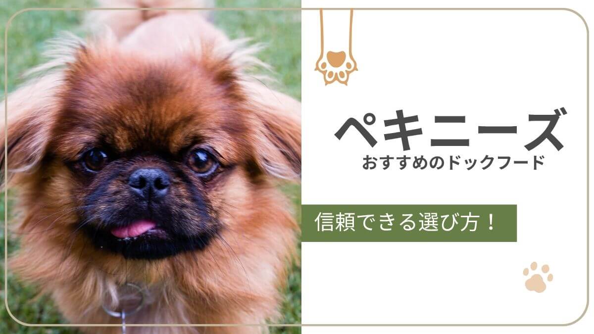 ペキニーズにおすすめのドッグフード。短頭種特有の呼吸と皮膚トラブルに配慮したごはん選びと商品を紹介