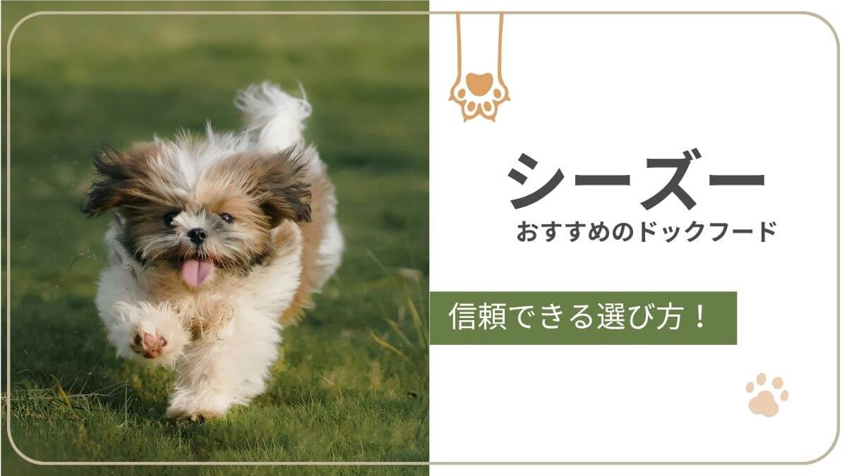 シーズーにおすすめのドッグフード。涙やけや皮膚、胃腸の健康に配慮したごはん選びとおすすめ商品を紹介