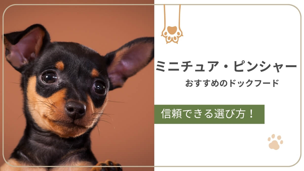 ミニチュア・ピンシャーにおすすめのドッグフード。筋肉と体温管理に配慮したごはん選びを紹介