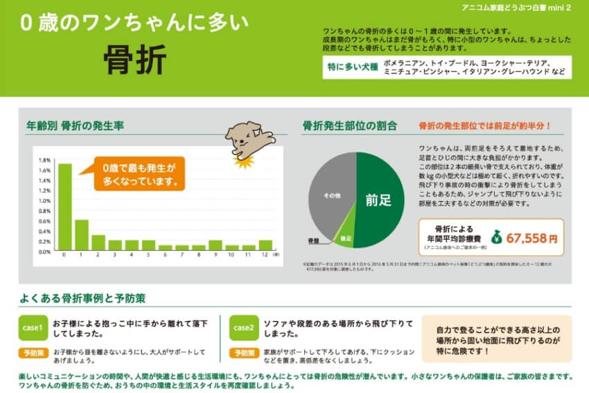 0歳の犬に最も多い骨折発生率と発生部位の統計グラフ。特に前足が骨折しやすい傾向が明らかに。