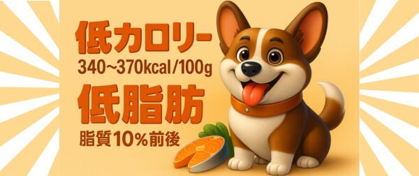 低カロリー・低脂肪の食事で健康管理をするコーギーのイラスト