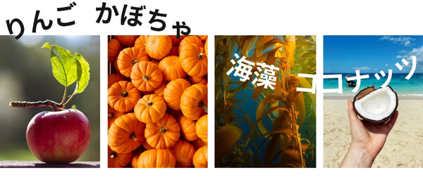 りんご、かぼちゃ、海藻、ココナッツの写真
