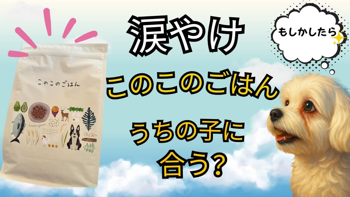 涙やけに悩む小型犬と「このこのごはん」のパッケージ。フードが体質に合うかを問いかけるイメージ画像。