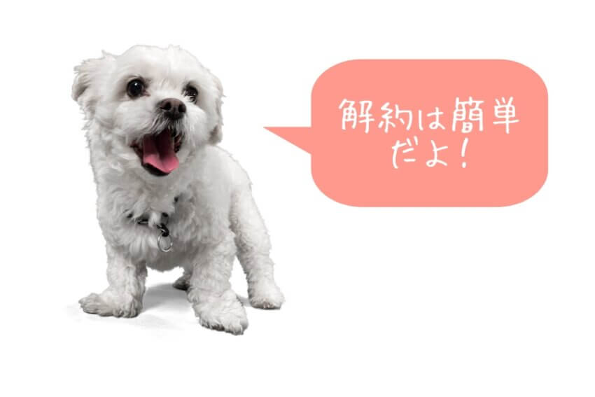 「解約は簡単だよ!」と話しかける白い犬の画像。定期購入の安心感を伝える用途