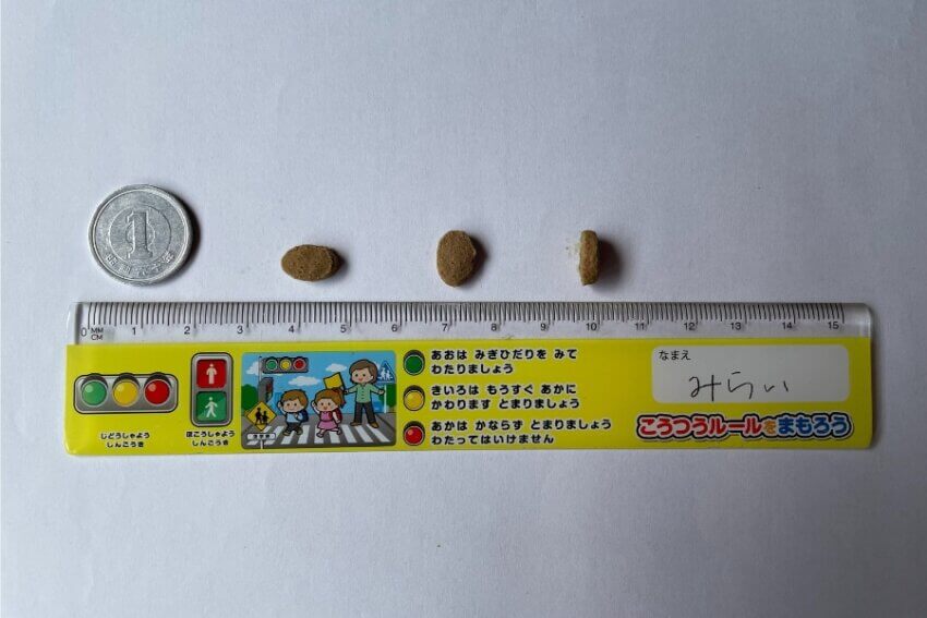 ドッグフードの粒を1円玉と定規で比較し、サイズが9mm×6mm・厚さ約2.5mmとわかる写真