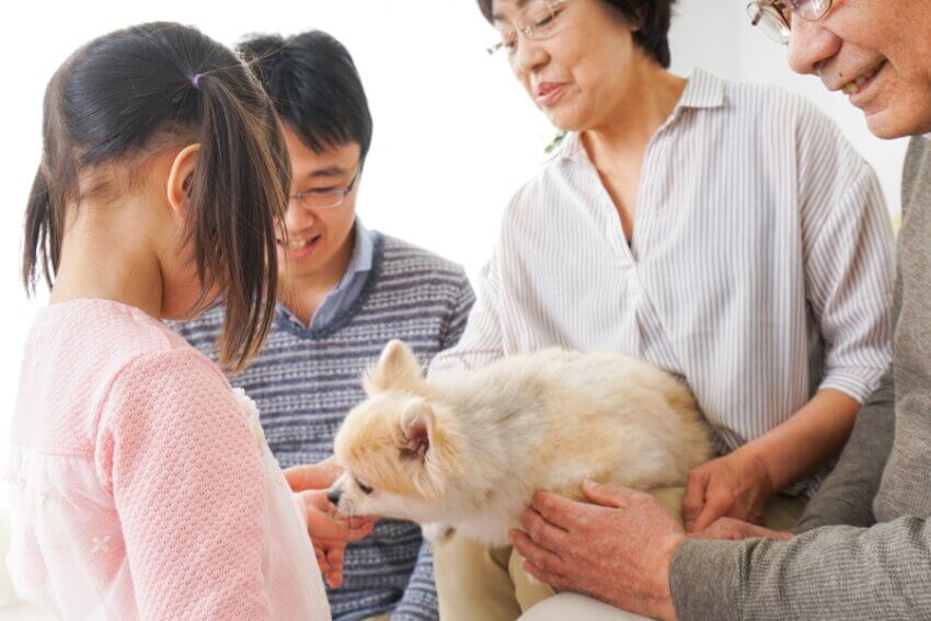 家族が犬を囲んであたたかく見守っている様子。ミシュワンのまとめ・購入前の確認に使用