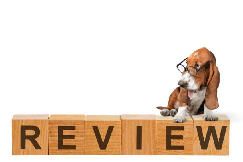 REVIEWの文字とメガネをかけた犬の写真。ミシュワンの口コミ紹介コーナーの見出しに使用