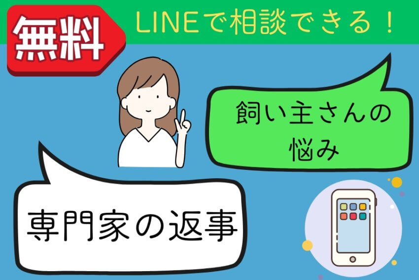 LINEで飼い主の悩みに専門家が返信してくれるサービスを紹介するイラスト